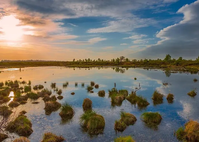 La Trouvaille Couette-café